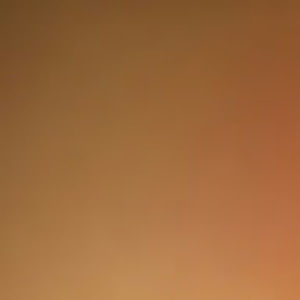 Meet your Posher, Adriana